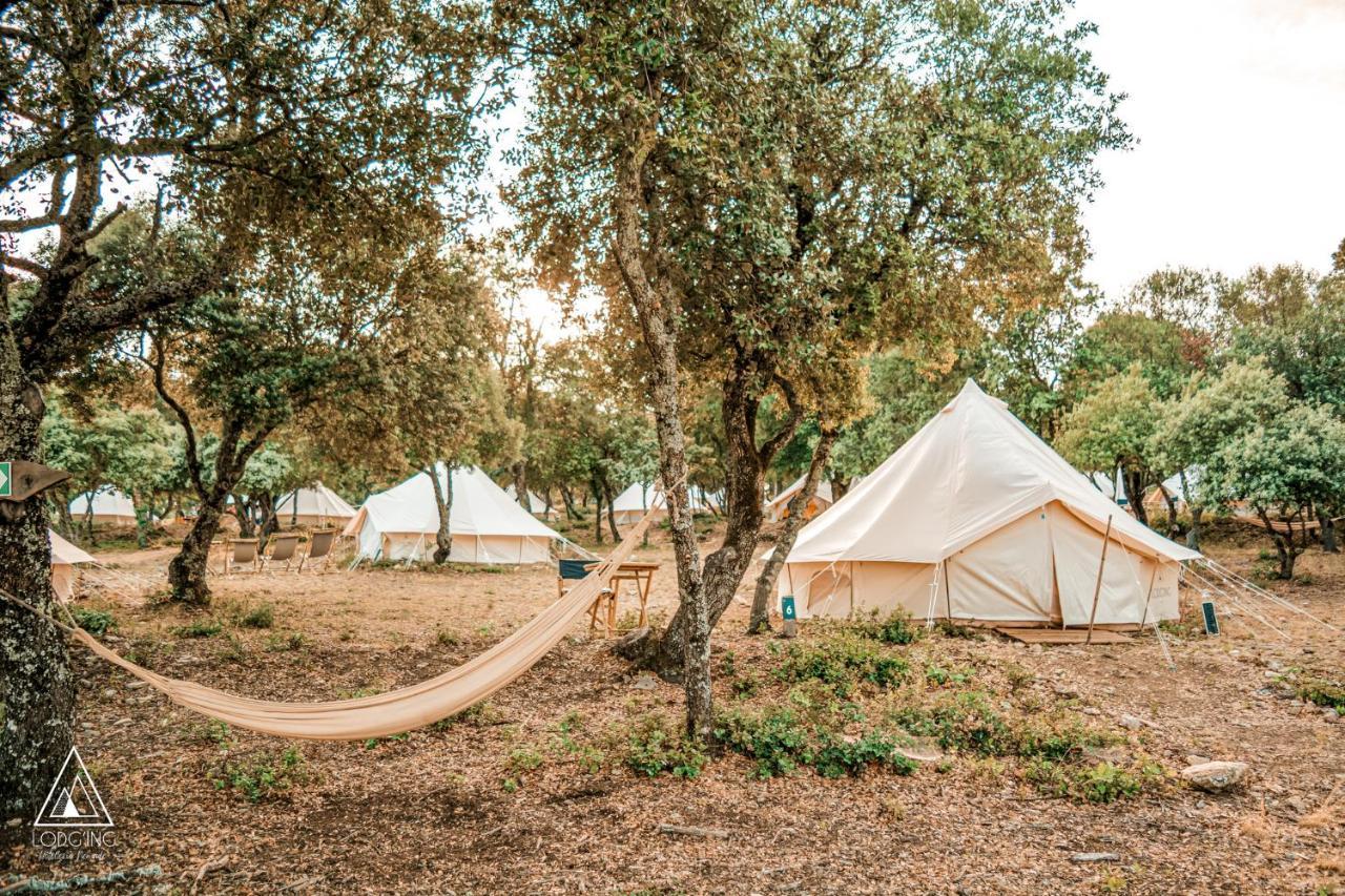 Hotel Lodg'Ing Nature Camp Luberon Saint-Michel-lʼObservatoire Zewnętrze zdjęcie